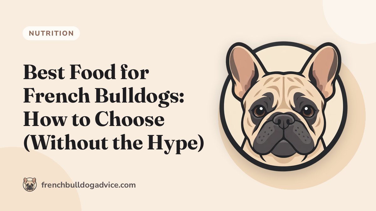 Best Food for French Bulldogs: How to Choose (Without the Hype) - French Bulldog Advice