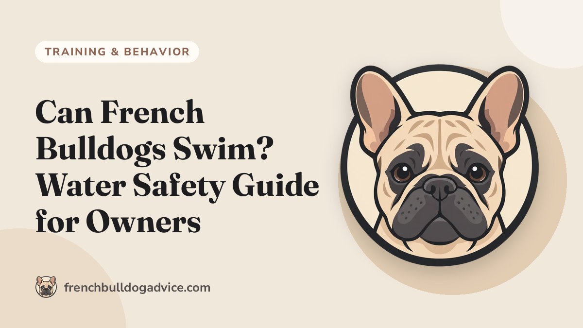 Can French Bulldogs Swim? Water Safety Guide for Owners - French Bulldog Advice