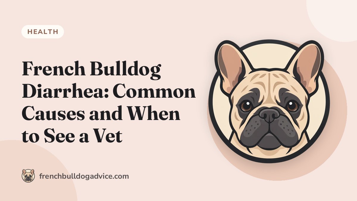French Bulldog Diarrhea: Common Causes and When to See a Vet - French Bulldog Advice
