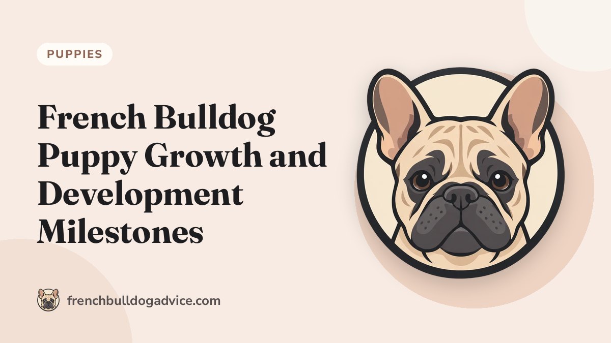 French Bulldog Puppy Growth and Development Milestones - French Bulldog Advice