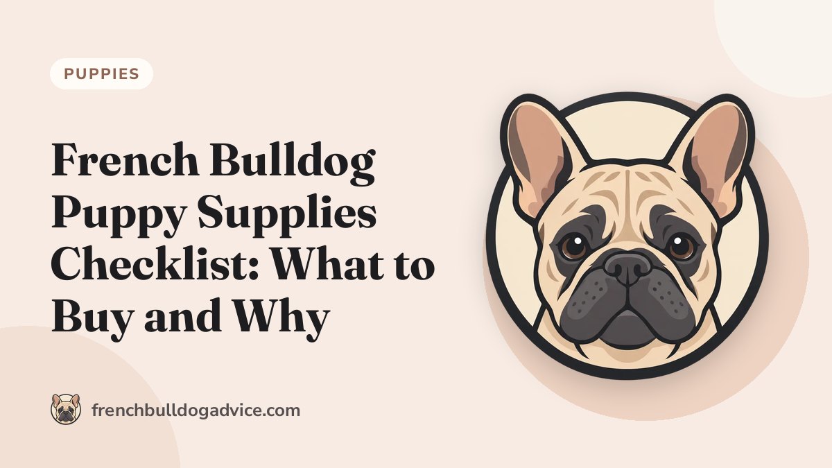 French Bulldog Puppy Supplies Checklist: What to Buy and Why - French Bulldog Advice
