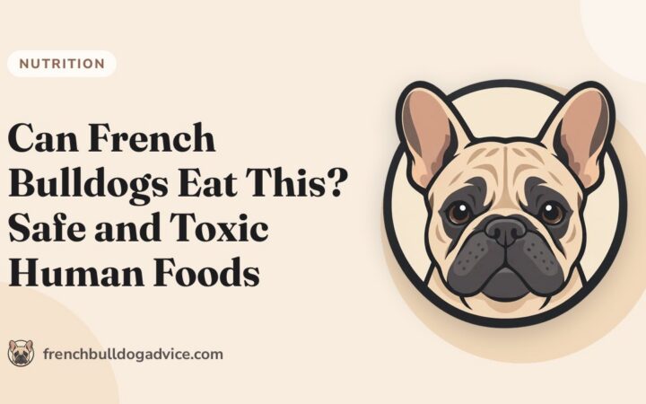 Can French Bulldogs Eat This? Safe and Toxic Human Foods - French Bulldog Advice