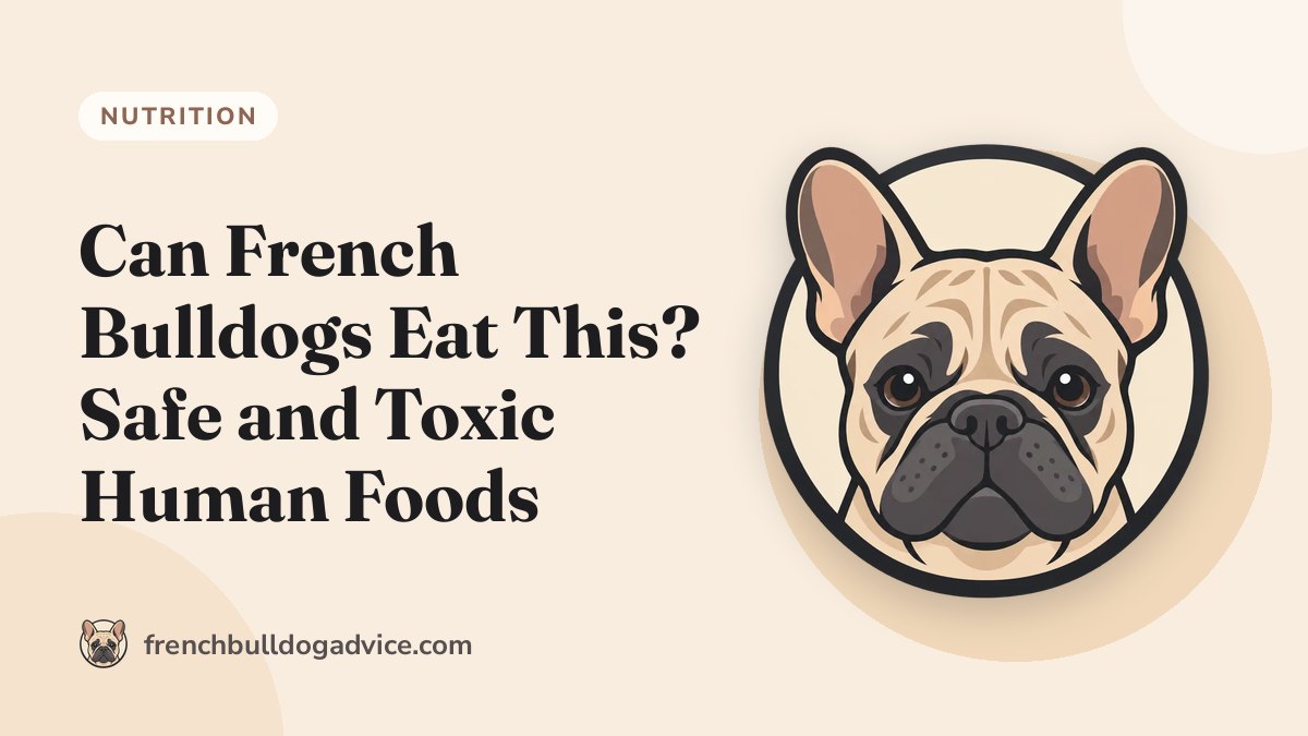 Can French Bulldogs Eat This? Safe and Toxic Human Foods - French Bulldog Advice