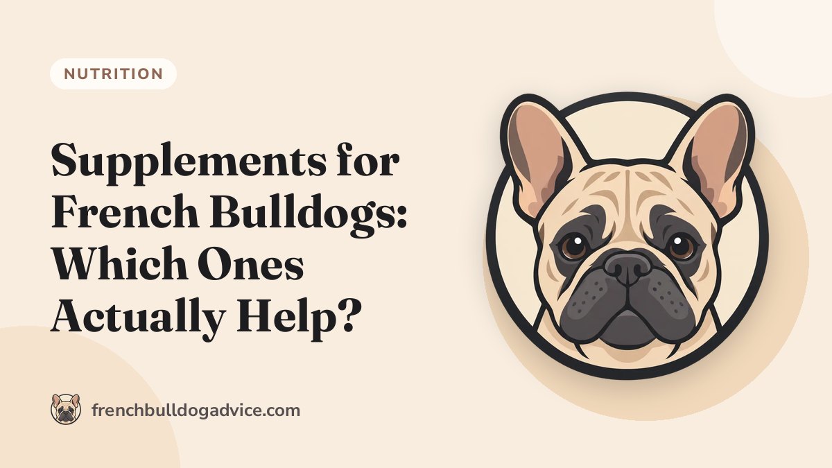 Supplements for French Bulldogs: Which Ones Actually Help?
